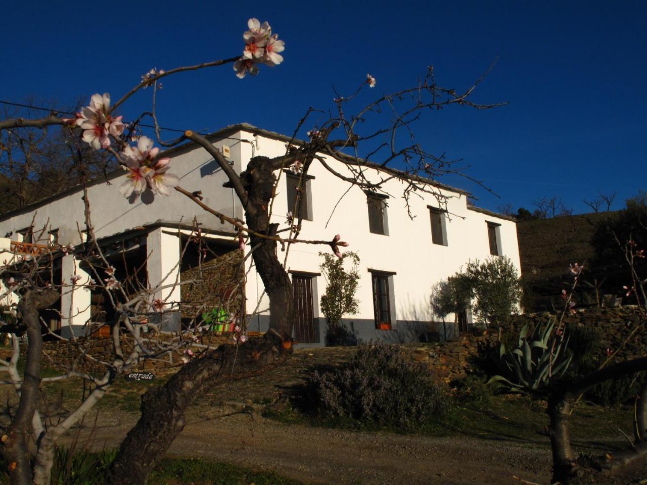 El Paraje De Lodge Bérchules